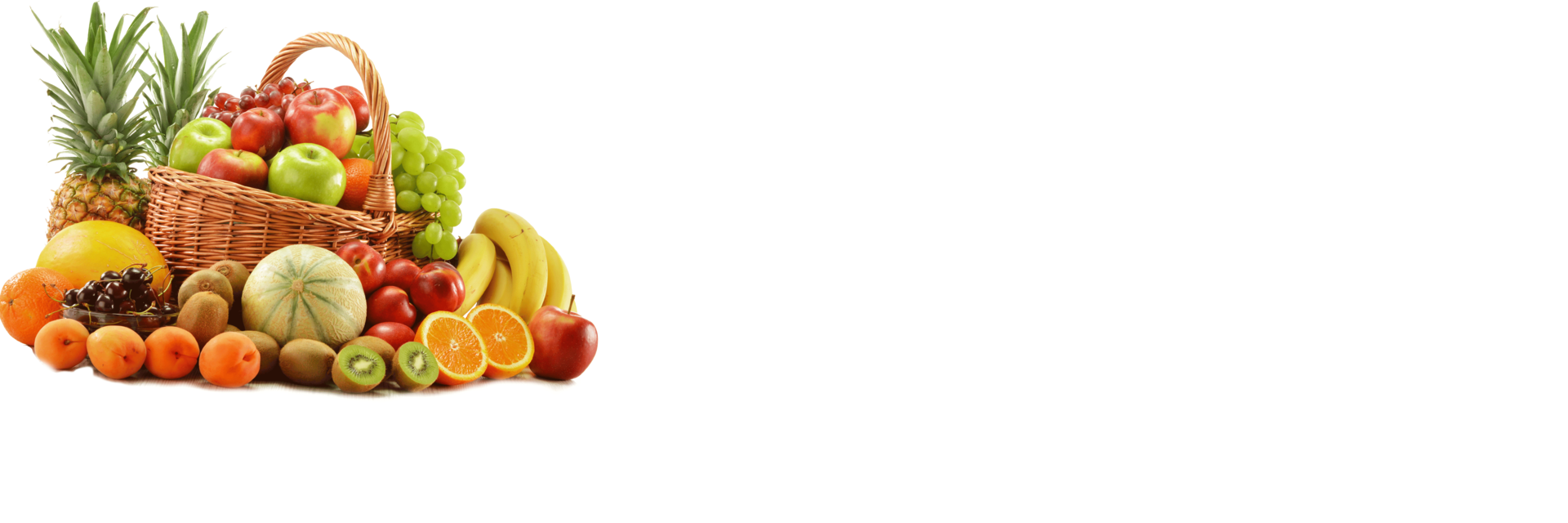 header Bild